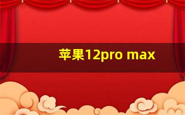 苹果12pro max